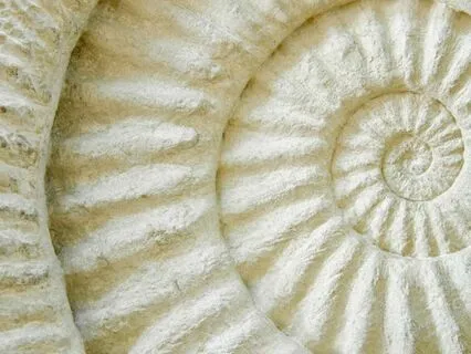 Grounding Somatic Meditation