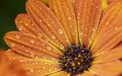 Grounding Sound Bath To Recharge