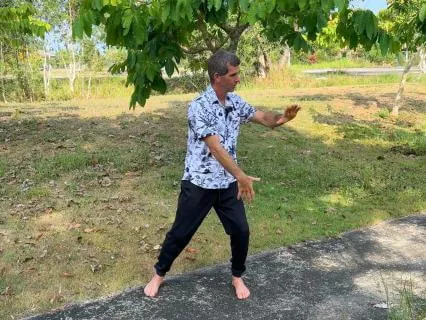 Grounding Tai Chi Gong Movements
