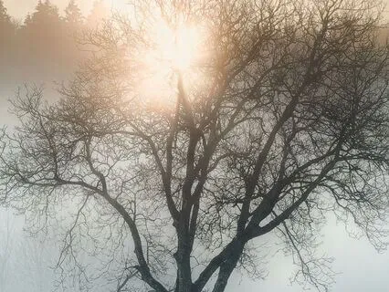 Grounding The Overwhelm