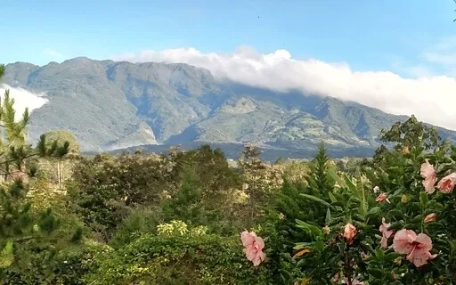 Grounding: The Solid, Still Foundation Within