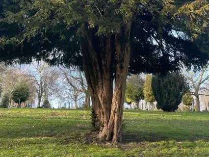 Grounding Through Awareness