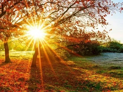 Grounding Through Gratitude