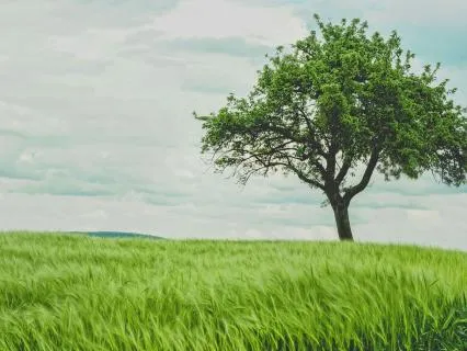 Grounding Through Your Exhale