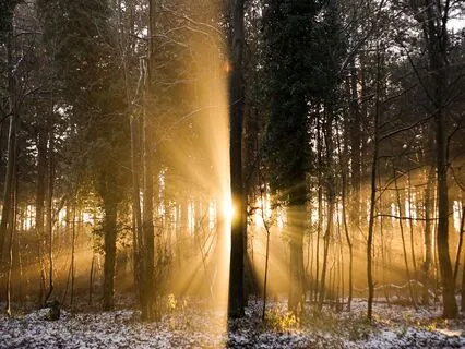 Grounding To Earth Energy With Root Chakra Tuning Forks