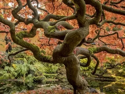 Grounding Tree Practice