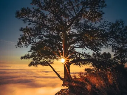 Grounding Visualization, Mountain Meditation