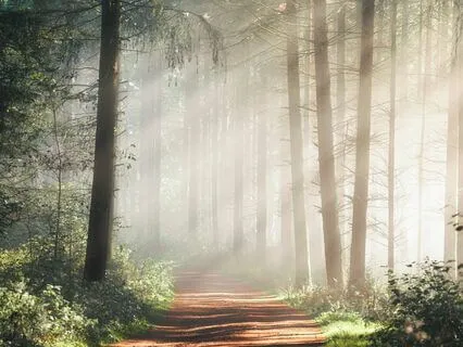 Grounding Walking Meditation