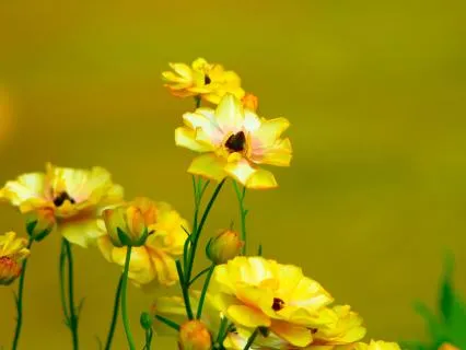 Grounding When The World Feels Heavy