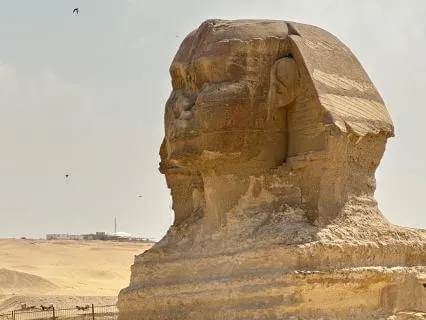 Grounding When You Feel Energetically Overwhelmed