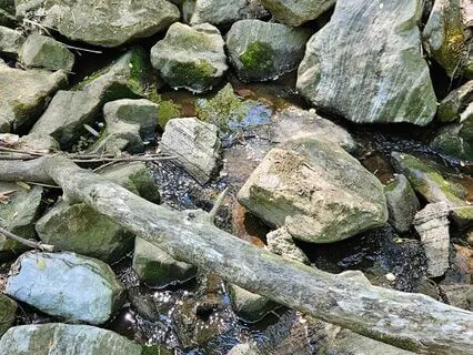 Grounding With Breath And Allowing A Letting Go