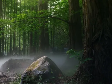 Grounding With Gaia Guided Meditation For Stress Relief