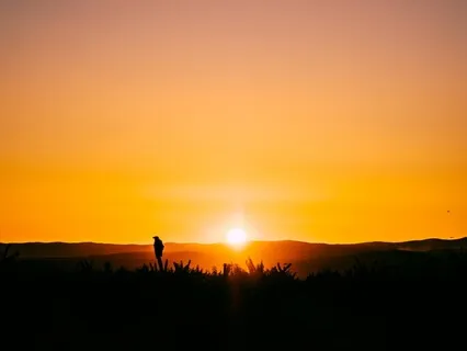 Grounding With Gratitude