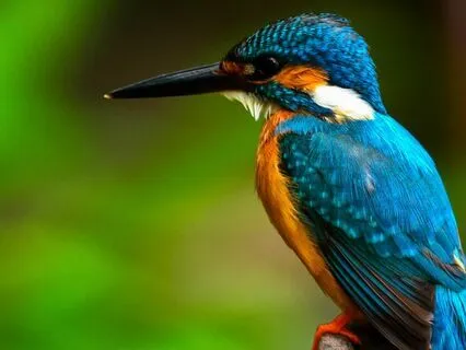 Grounding With Individual Senses Series #1: Hearing