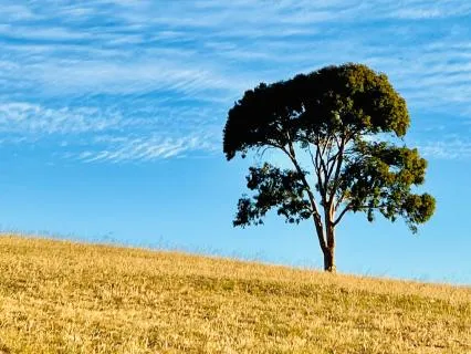 Grounding With Mindful Listening