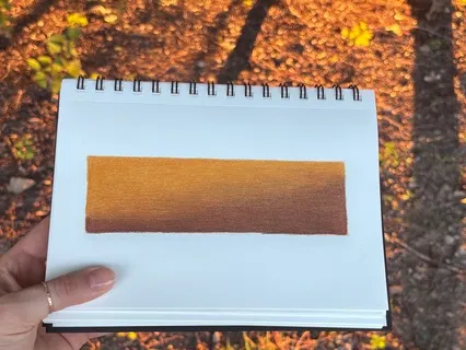 Grounding With Mother Earth