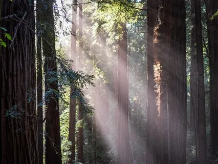 Grounding With Native American Flute 