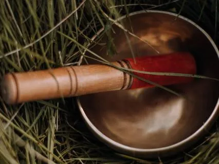 Grounding With The Earth: Nature Co-regulation Meditation