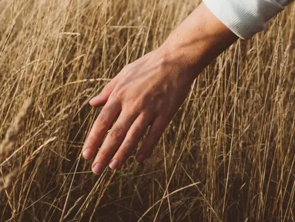 Grounding With The Earth