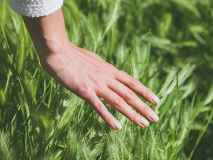 Grounding With Your Senses: A Sensory Grounding Experience