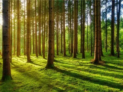 Grounding With Your Senses