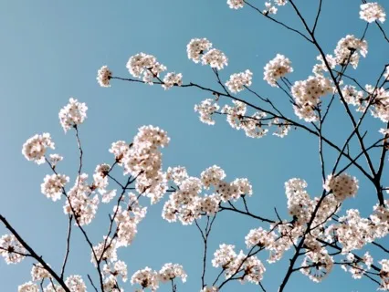 Grounding Work Before Autumn