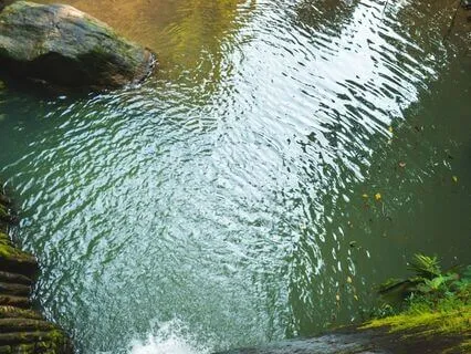 Grounding Yoga For Overwhelm