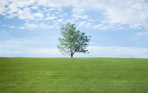 Grounding Yoga Nidra 