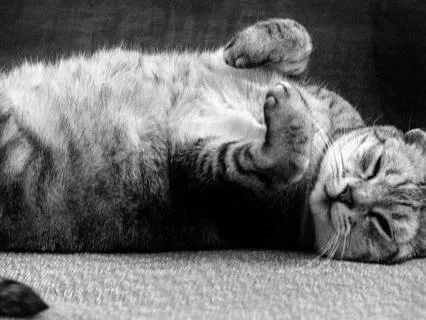 Grounding Yoga Nidra / Deep Body Awareness & Sankalpa