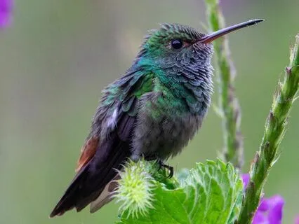 Grounding Yoga Nidra For Deep Relaxation