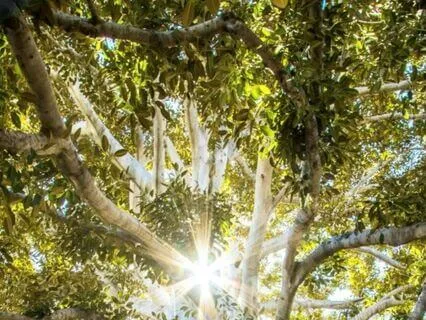 Grounding You Back To Self