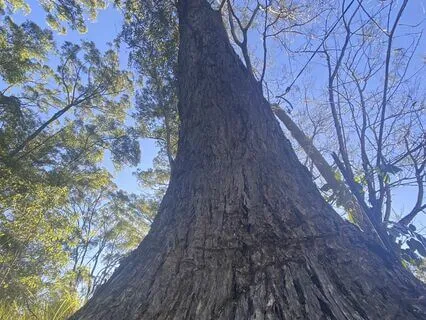 Grounding Your Awareness