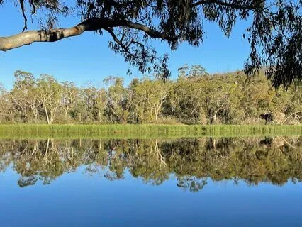 Grounding Yourself To Release Emotions