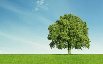 Grow, Not Seek growth, Being Oneself - The Greatest Potential