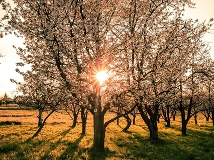 Grow Your Confidence