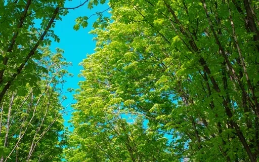 Growing And Expanding Meditation