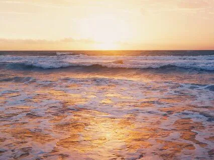 Growing Beyond Our Mere Human Intelligence