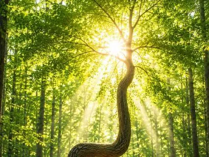 Growing Beyond What Happened