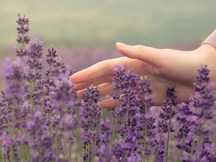 Growing Confidence On All Levels