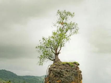 Growing In Resilience