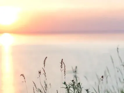 Growing Life: Purpose Divine Timing, Devotion