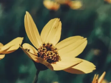 Growing Self-Compassion