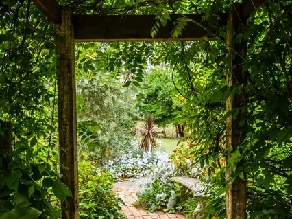 Growing Your Garden Nidra For Self Development