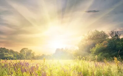 Growing Your Inner Light