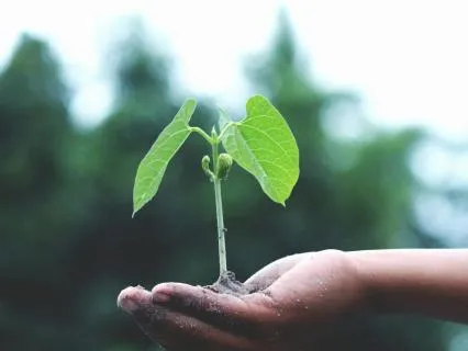 Growth And New Beginnings  | Spring Equinox Deep Rest