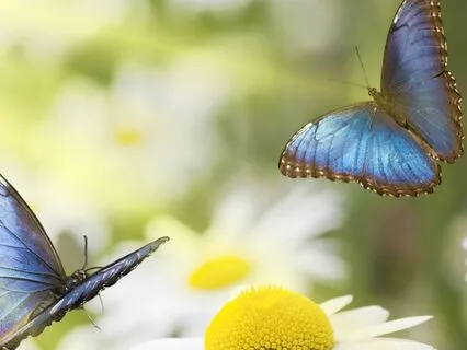 Growth Is The New Goal