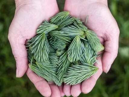 Growth (Meditation For Success)