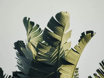 Growth Mindset: Achieve Your Goal With Self-Acceptance & Self-Empowerment