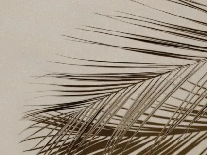 GSA 1: Mantra Meditation To Release & Receive