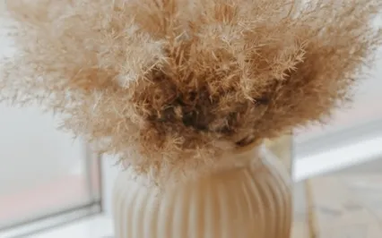 GSA 22: Affirmations For Seasonal Depression, Part 1